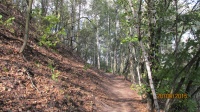 IMG_7050.jpg, 32kB